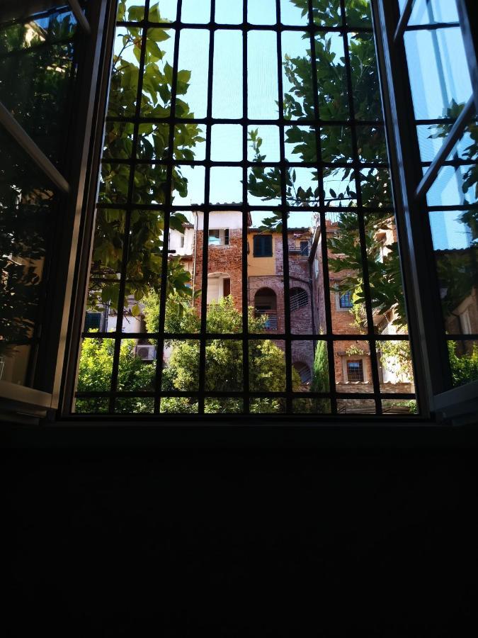 Chill In Tuscany Ground Floor Lucques Extérieur photo